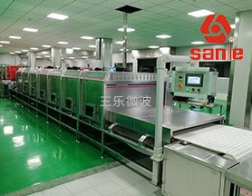 微波加熱熟化設備