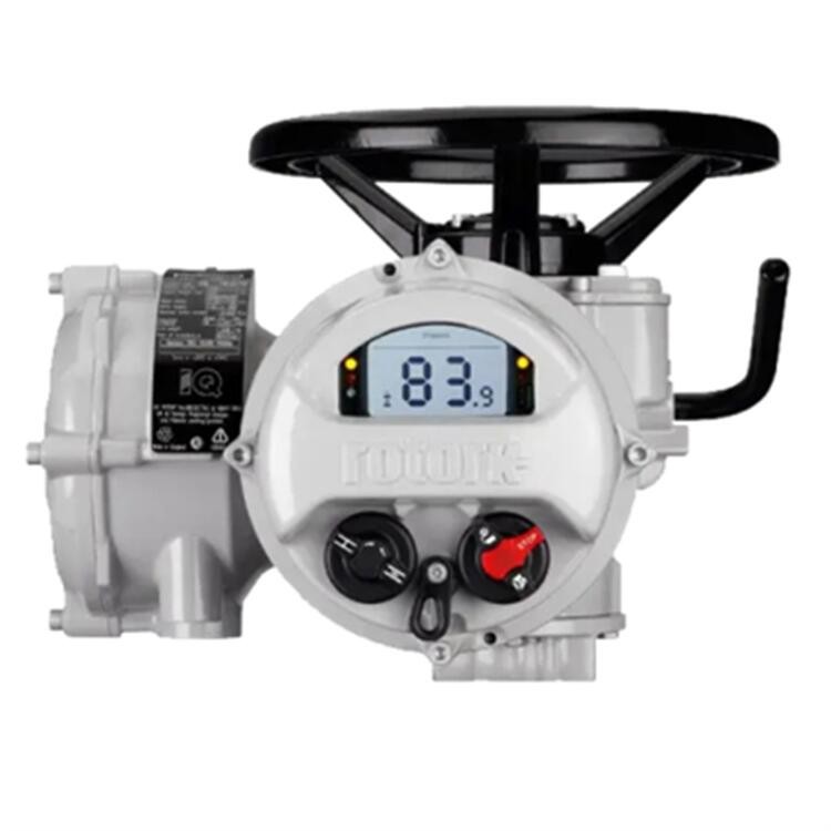 ROTORK多回轉羅托克IQ10電動執行器閥門電動裝置